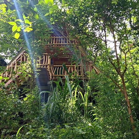 Eco Village Ella Exteriér fotografie