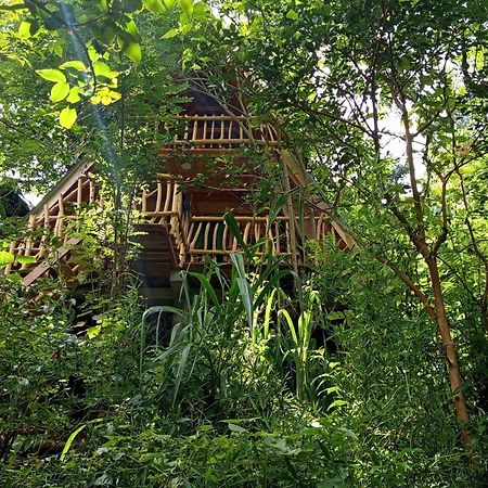 Eco Village Ella Exteriér fotografie