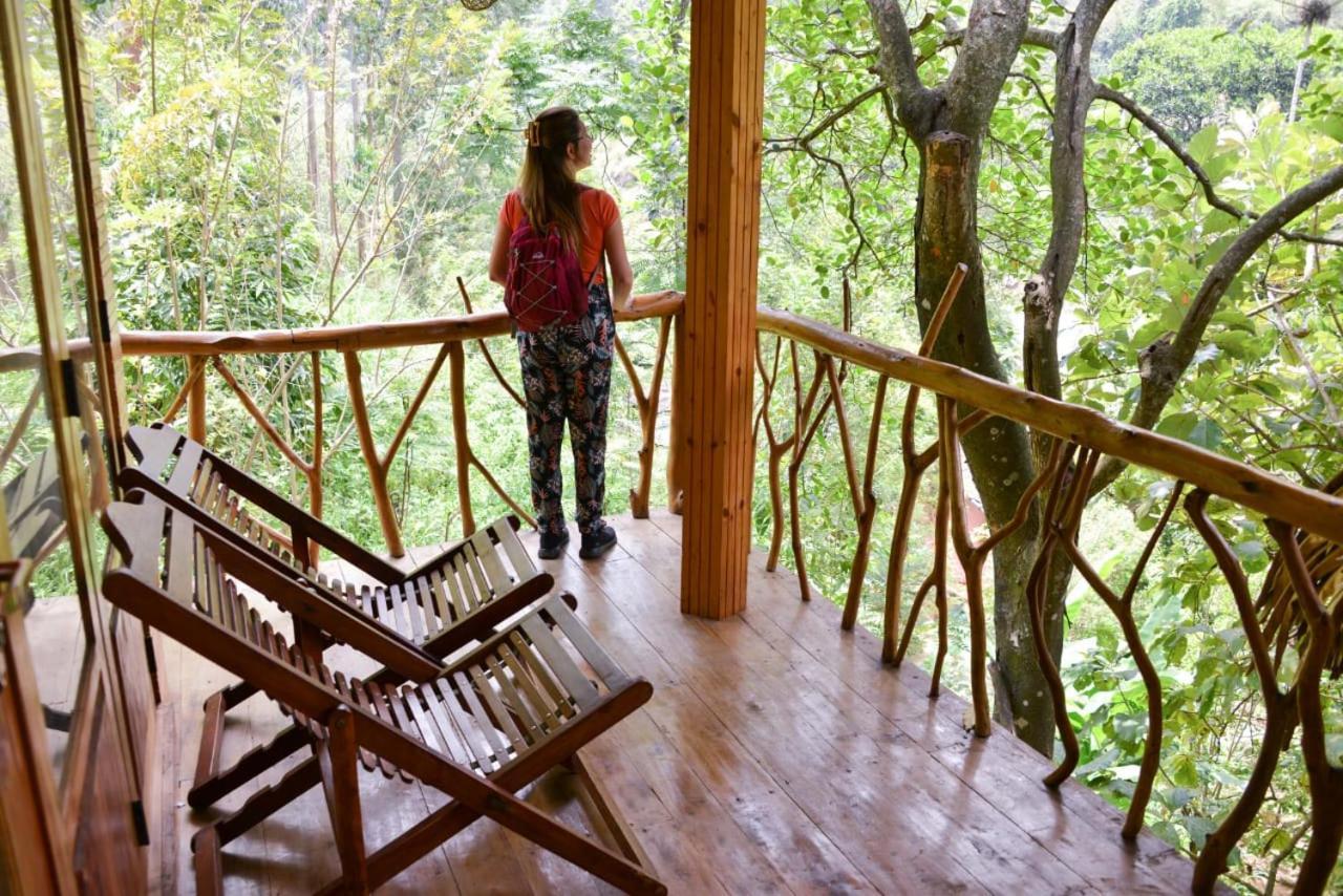 Eco Village Ella Exteriér fotografie