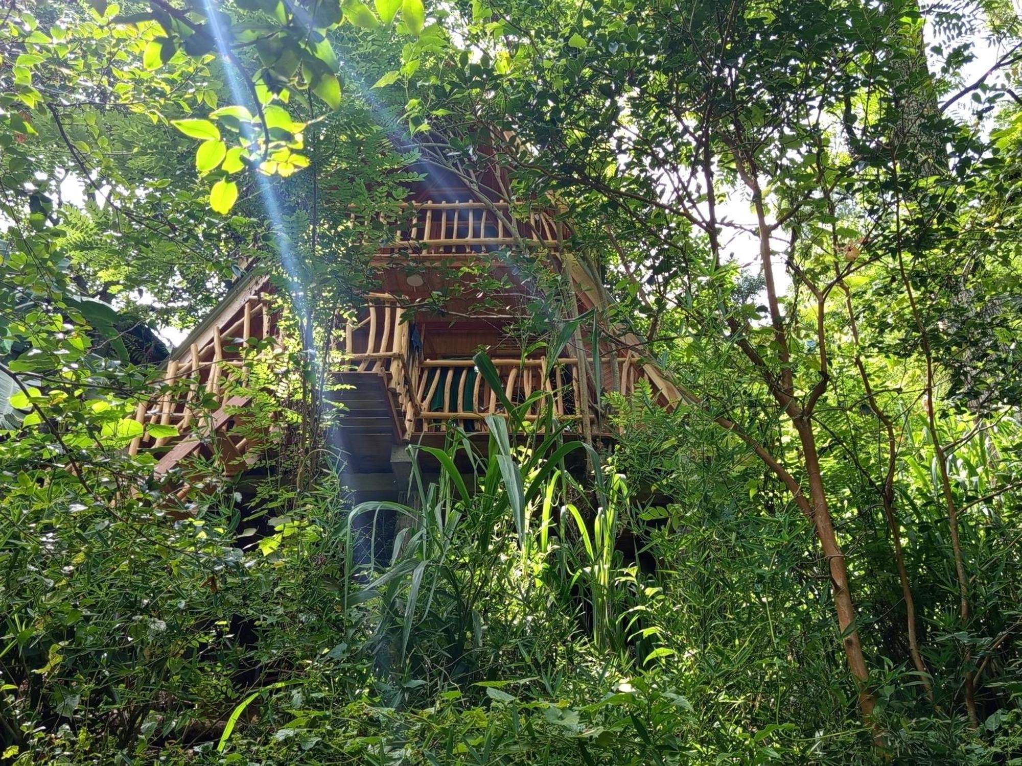 Eco Village Ella Exteriér fotografie