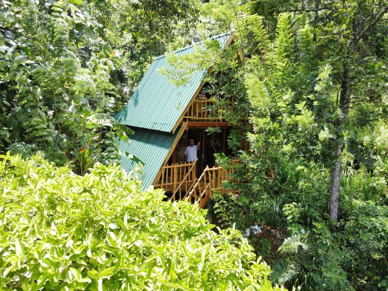 Eco Village Ella Exteriér fotografie